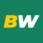 Betwinner_logo